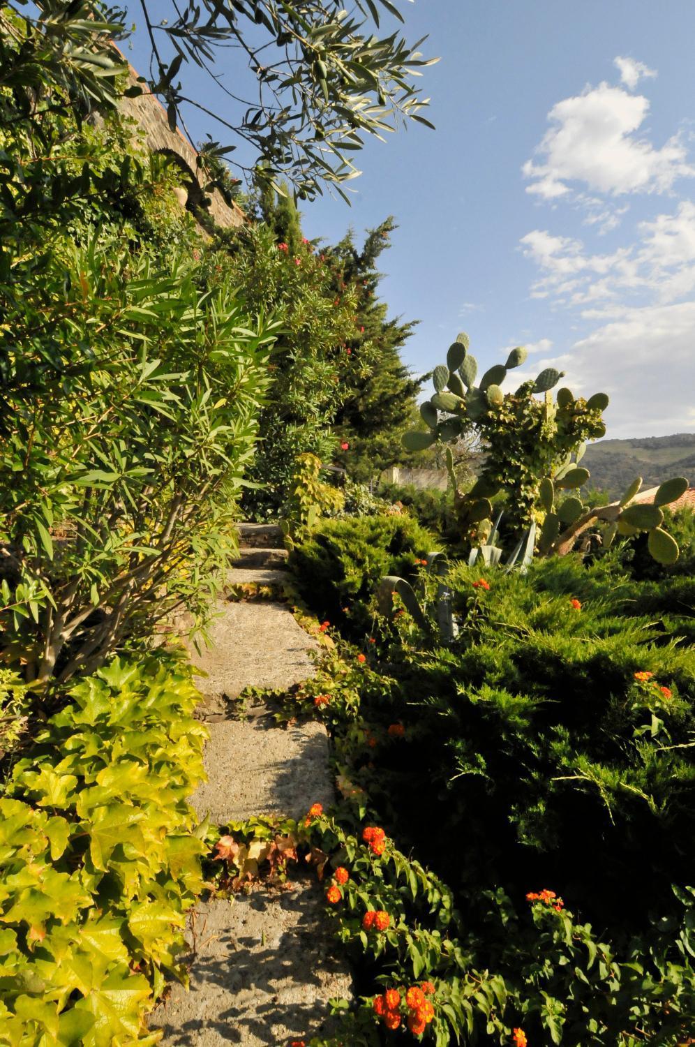 Hotel Mediterranee Collioure Exterior foto